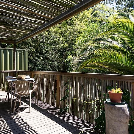Camps Bay Forest Pods เคปทาวน์ ภายนอก รูปภาพ