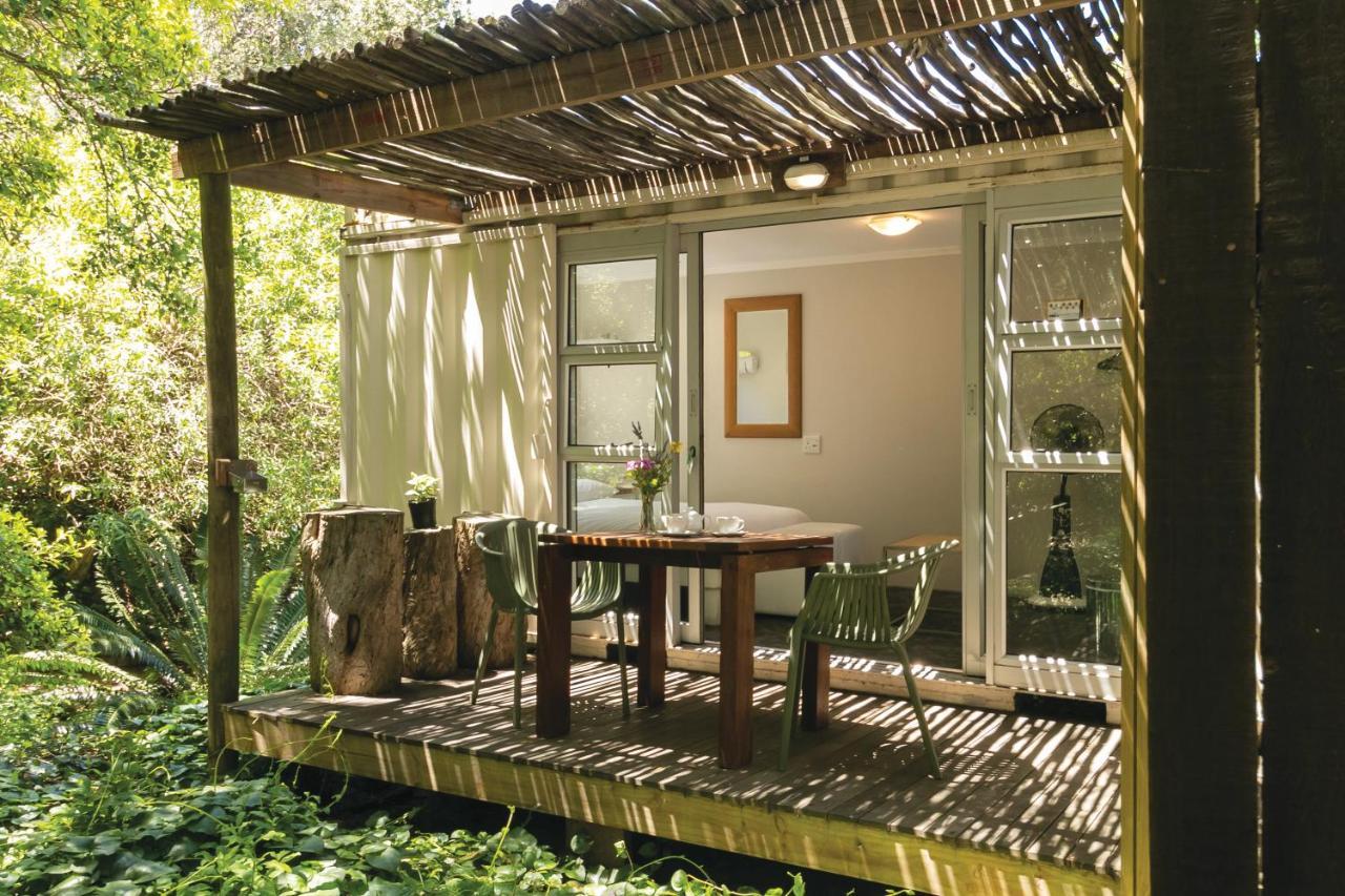 Camps Bay Forest Pods เคปทาวน์ ภายนอก รูปภาพ